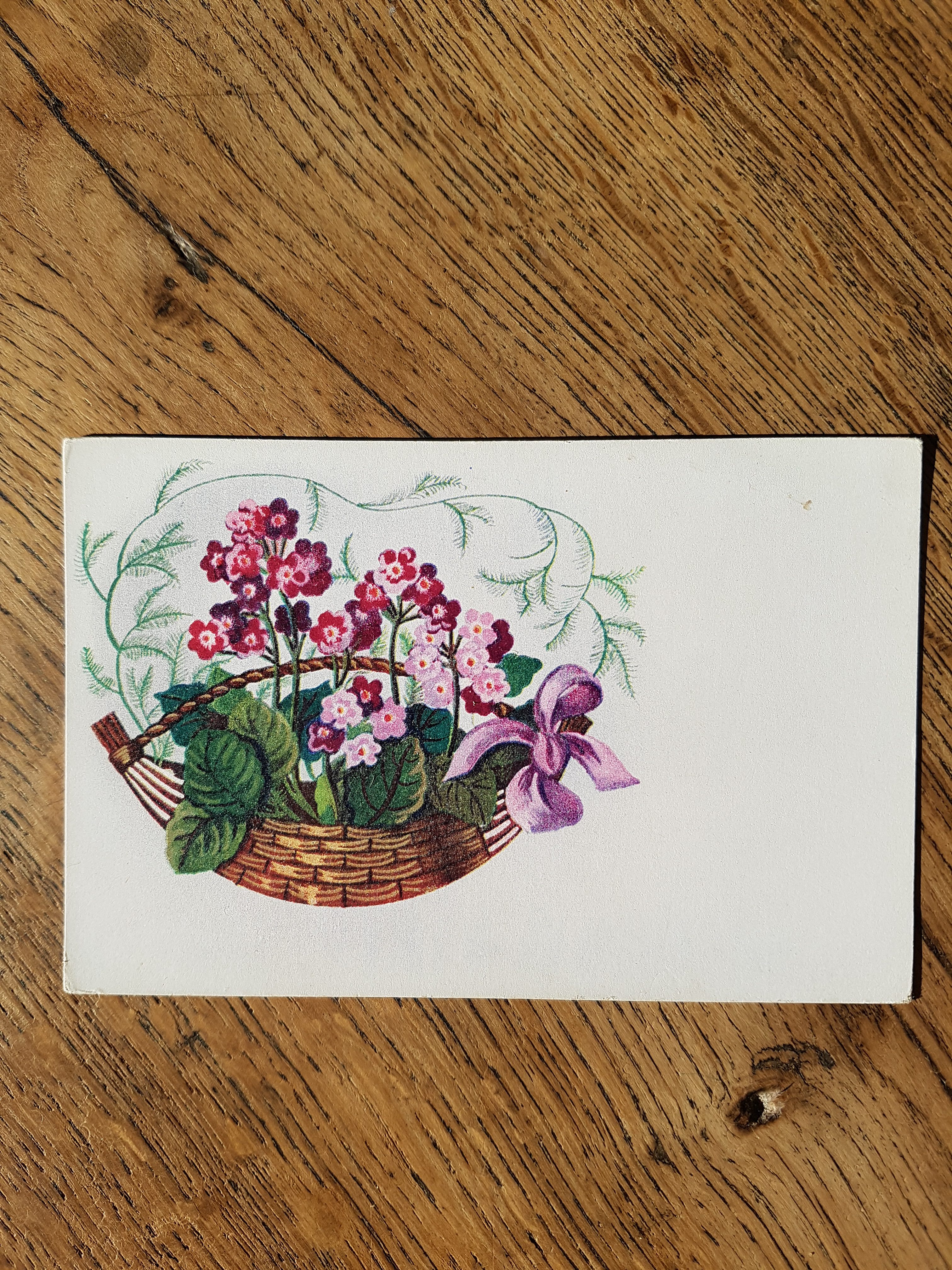 Bons d'achat / Cartes cadeau à offrir 11 Bons d'achat / Cartes cadeau à offrir