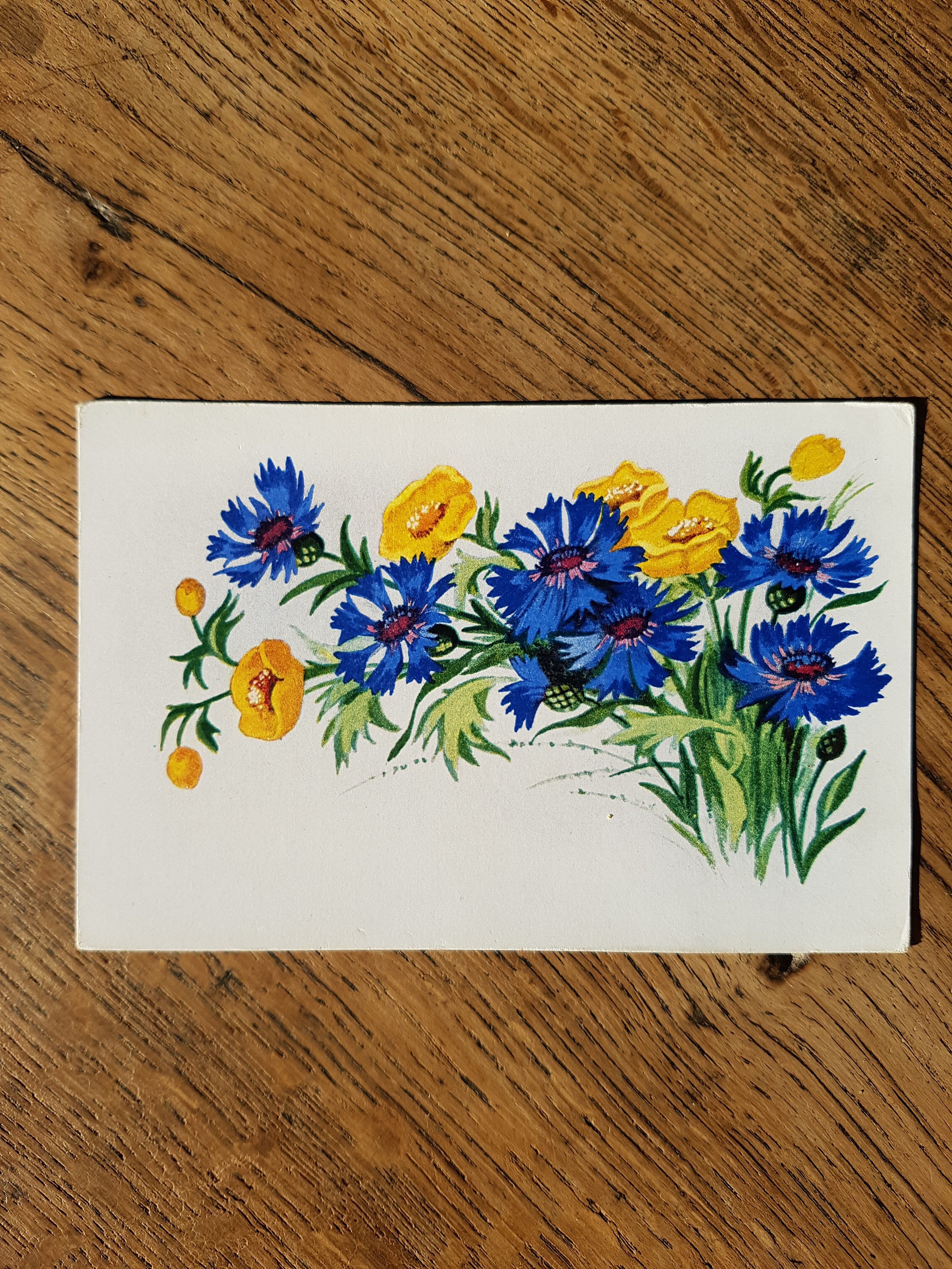 Bons d'achat / Cartes cadeau à offrir 10 Bons d'achat / Cartes cadeau à offrir
