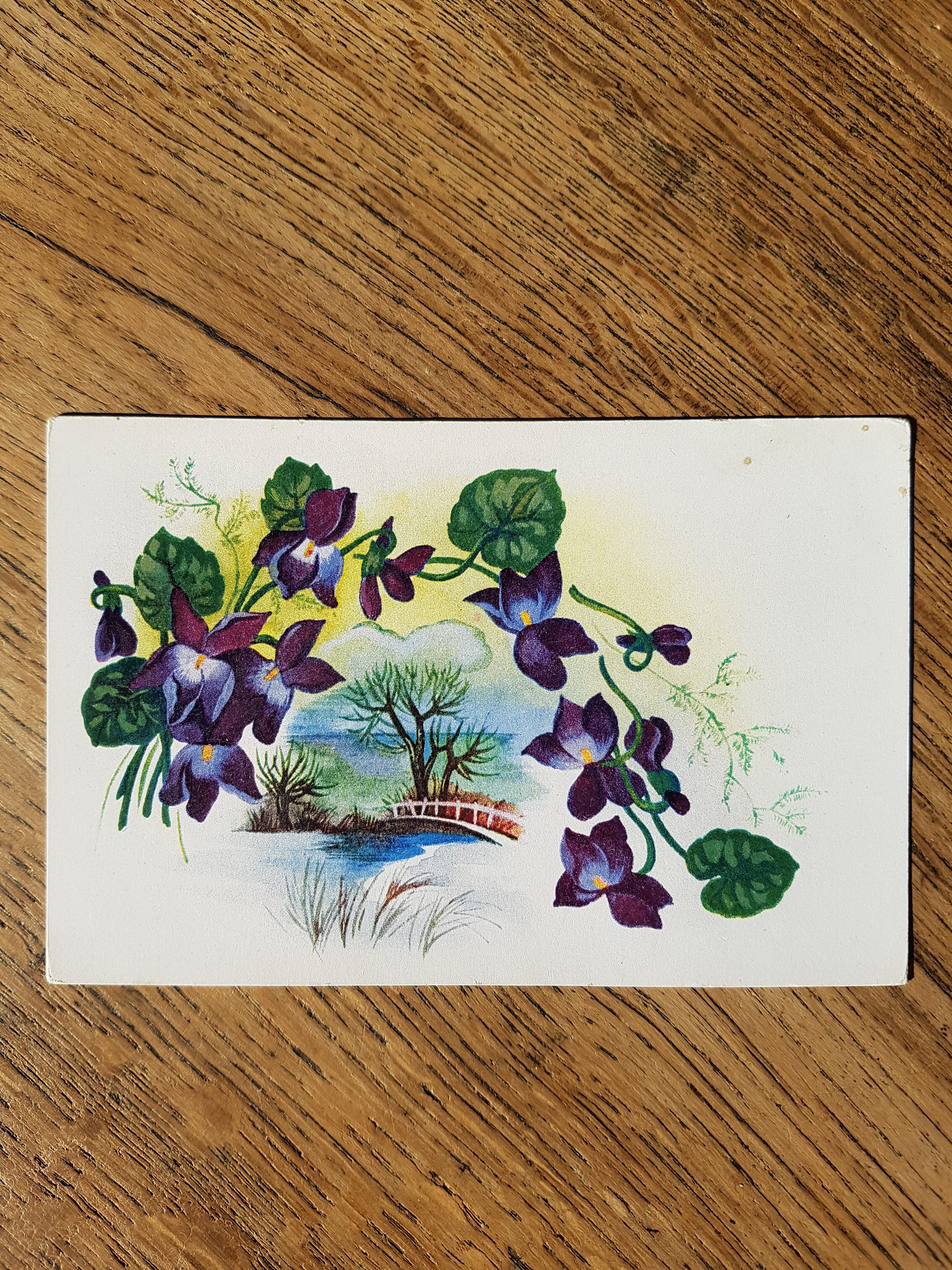 Bons d'achat / Cartes cadeau à offrir 6 Bons d'achat / Cartes cadeau à offrir